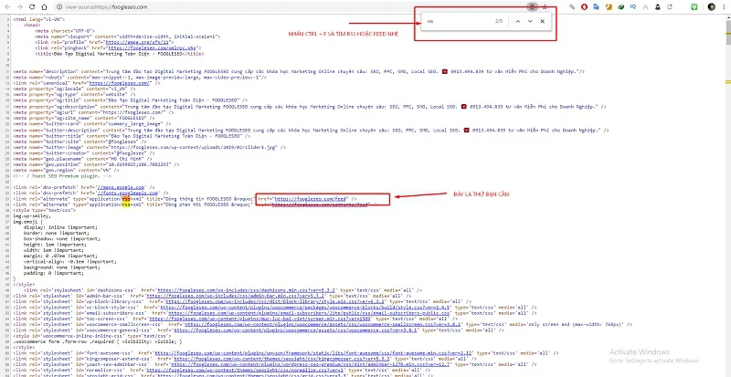 tìm feed cho website